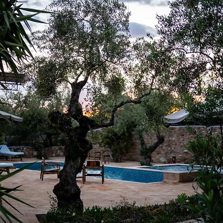 Apartmán Pantazi Olive Kotronion (West Mani)