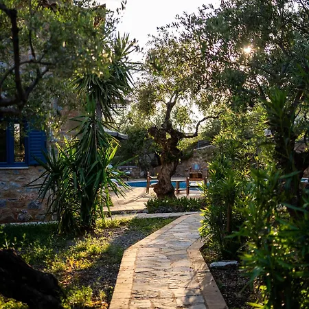 Pantazi Olive Apartmán